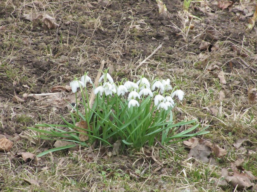 Успенский Пюхтицкий женский монастырь.