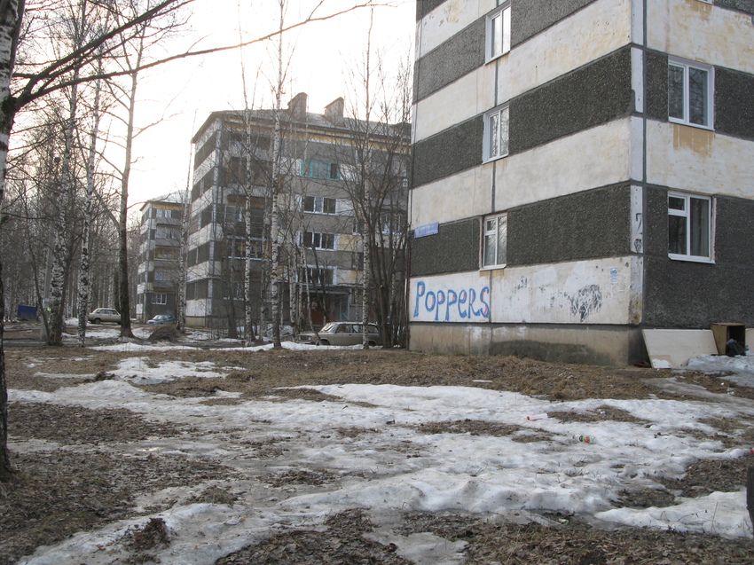 Сыктывкар 2015 - ул. Димитрова