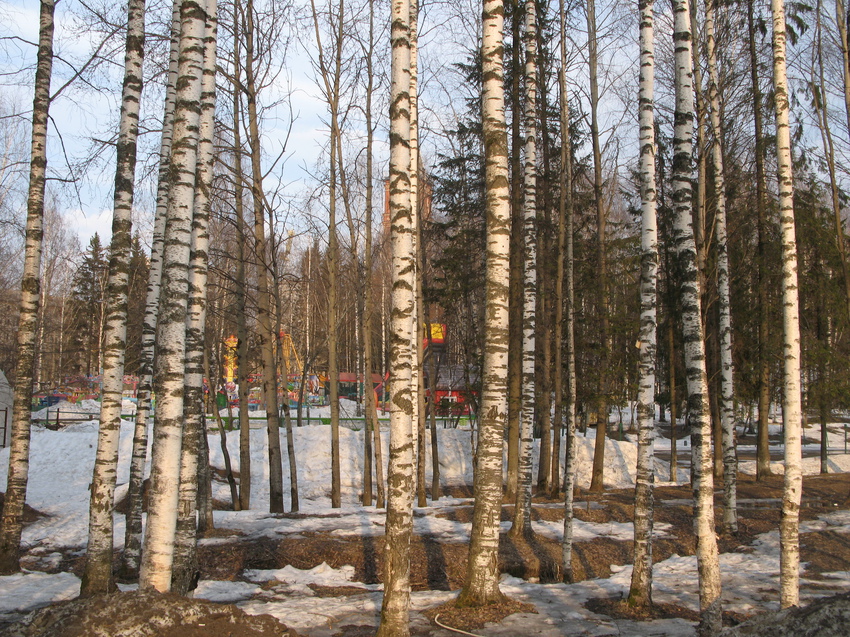 Сыктывкар 2015 - Мичуринский парк