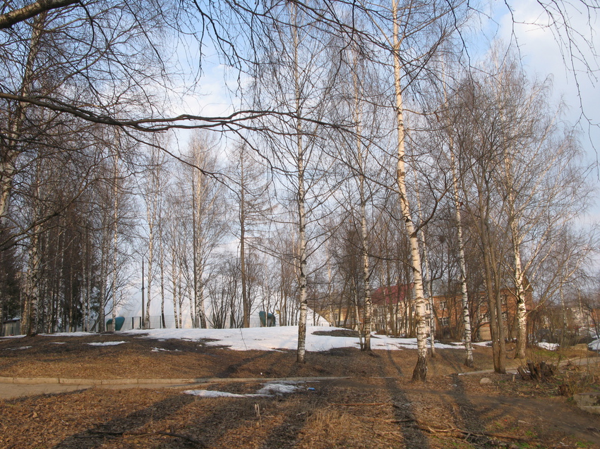 Сыктывкар 2015 - Мичуринский парк