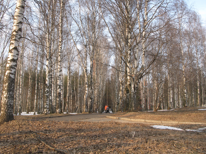 Сыктывкар 2015 - Мичуринский парк