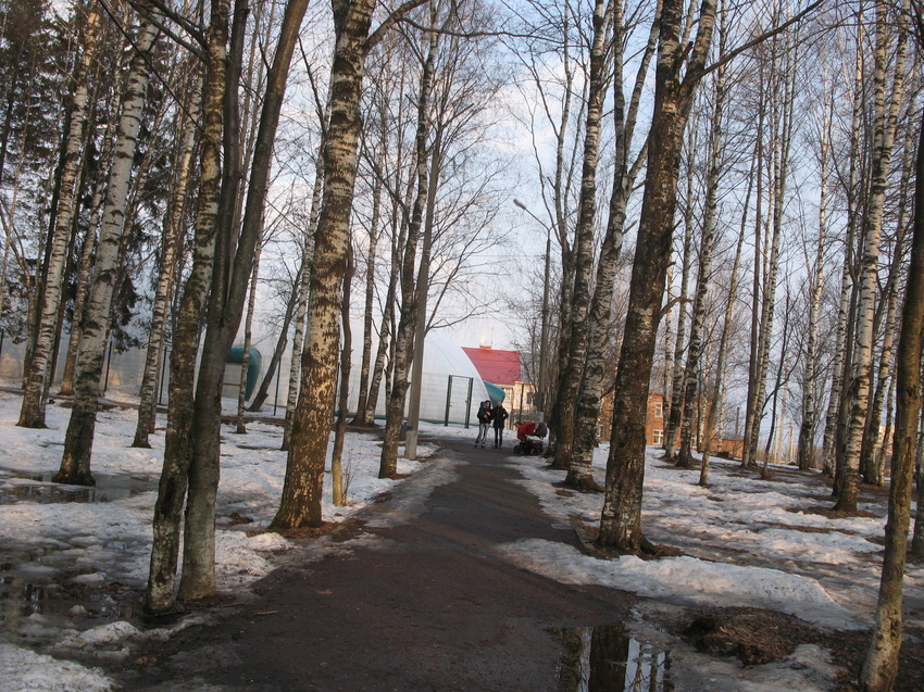 Сыктывкар 2015 - Мичуринский парк