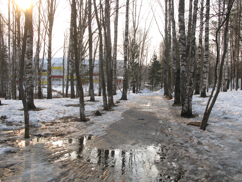 Сыктывкар 2015 - Мичуринский парк