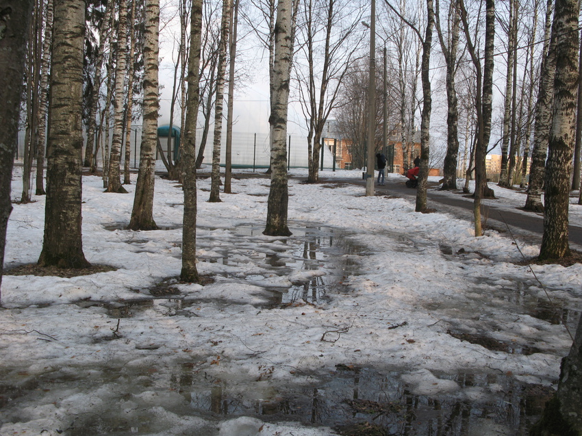 Сыктывкар 2015 - Мичуринский парк