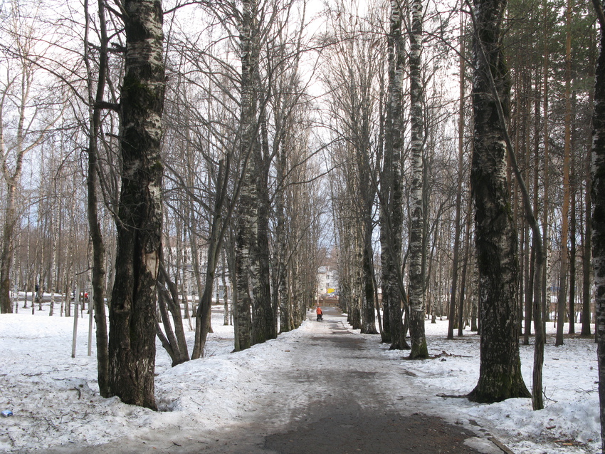 Сыктывкар 2015 - Мичуринский парк