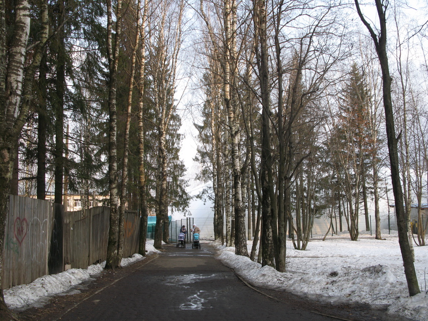 Сыктывкар 2015 - Мичуринский парк