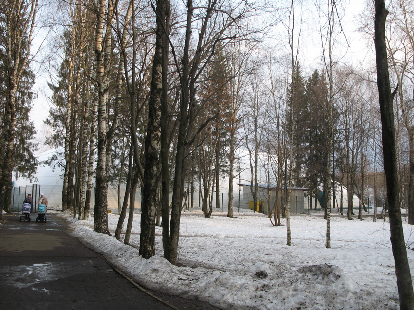 Сыктывкар 2015 - Мичуринский парк