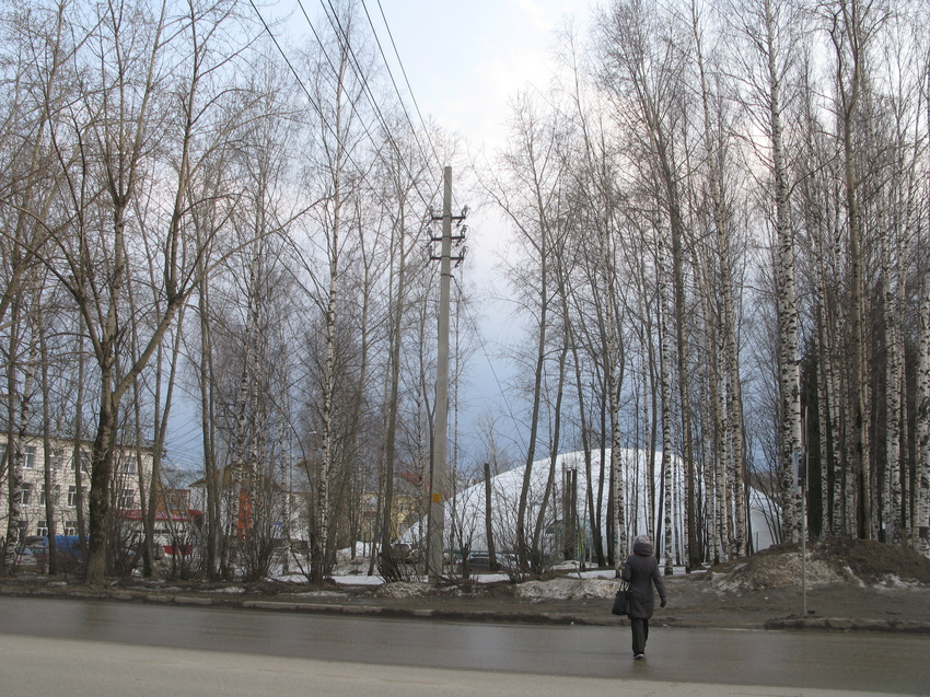 Сыктывкар 2015