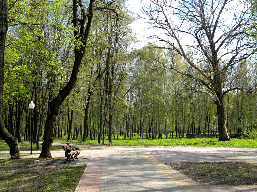 Парк в селе Головчино