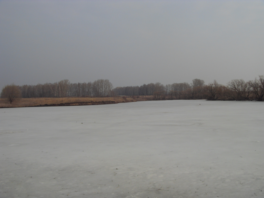 Заводской пруд март 2015