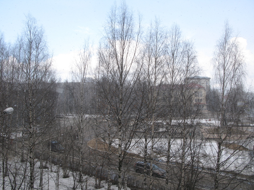 Сыктывкар 2015 - ул. Коммунистическая