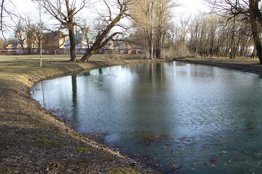 Пруд в парке