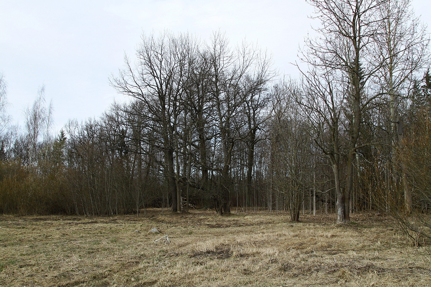 Фермский парк