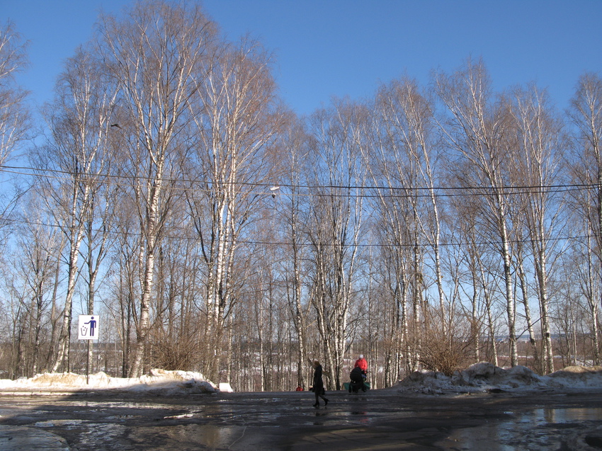 Сыктывкар 2015 - Кировский парк