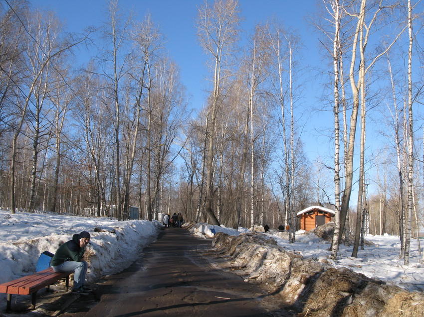 Бэсти парк сыктывкар. Сыктывкар парк. Кировский парк развалины Сыктывкар. Солнечный Сыктывкар Кировский парк. Ночной Сыктывкар Кировский парк.