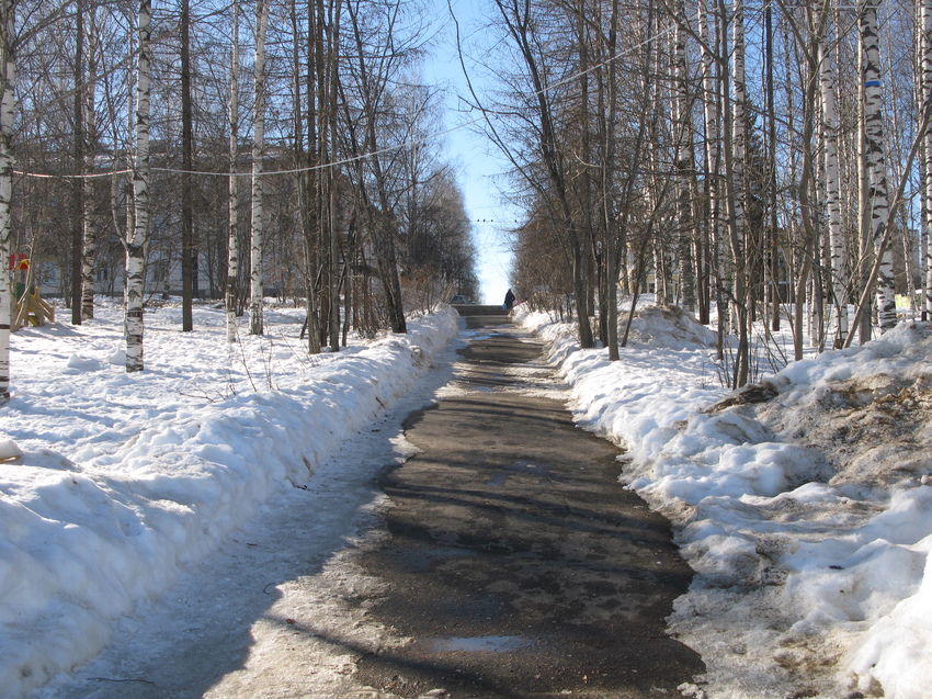 Прогулки по лесу Сыктывкар