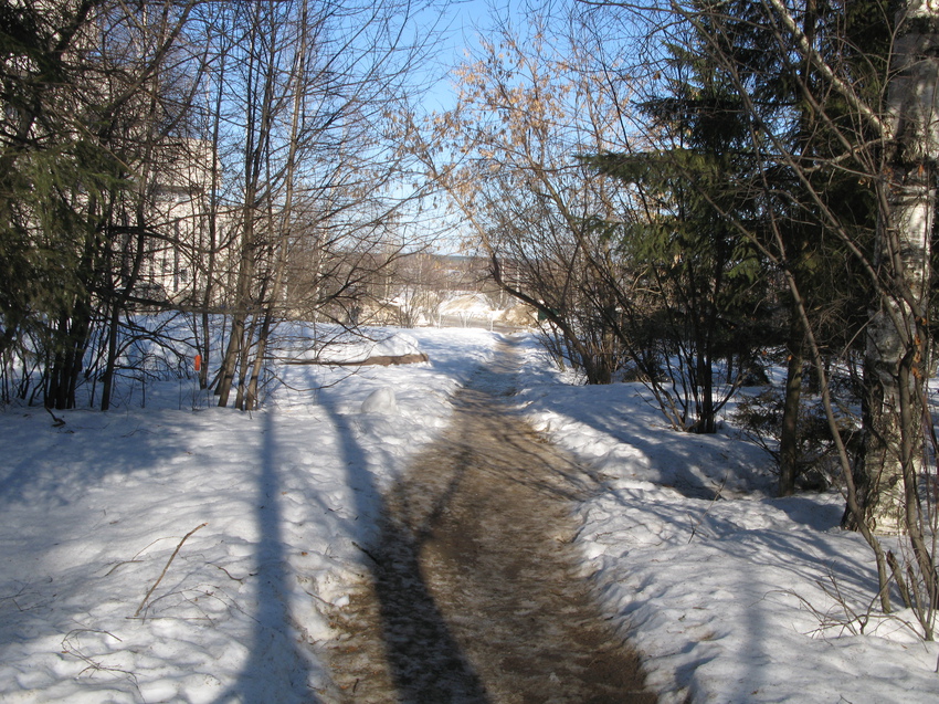 Сыктывкар 2015 - детский парк