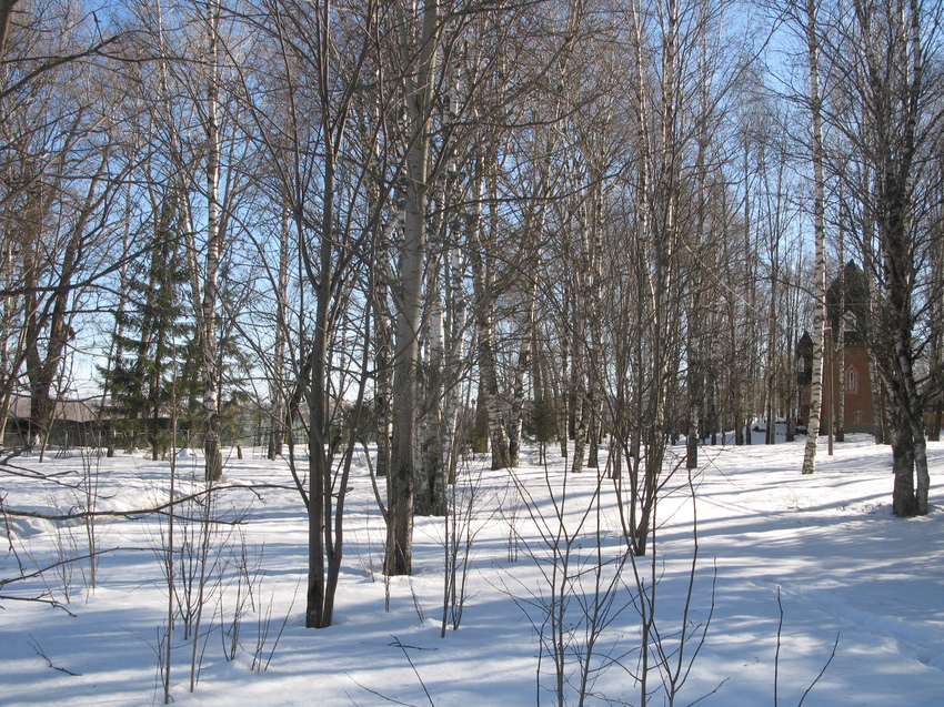 Сыктывкар 2015 - детский парк