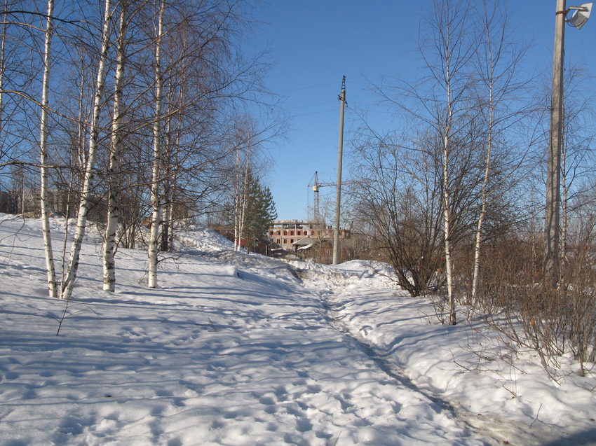 Сыктывкар 2015 - ул. Кирова