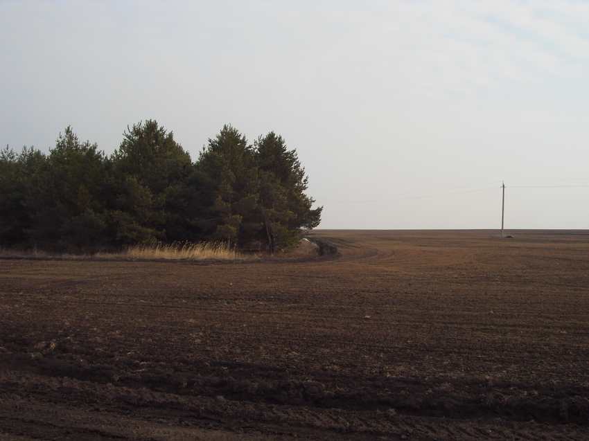 Кубань март 2015