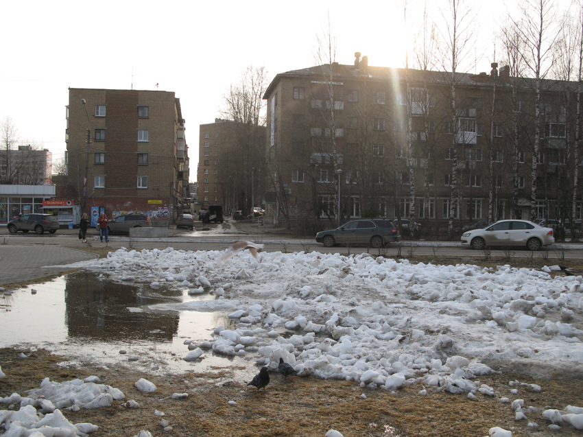 Сыктывкар 2015 ул. Коммунистическая