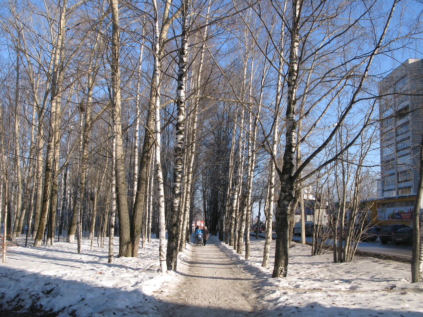 Сыктывкар 2015 - Октябрьский проспект