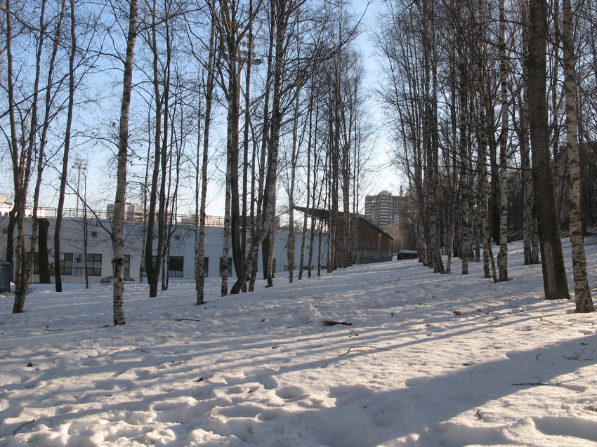 Сыктывкар 2015 - ул. Коммунистическая