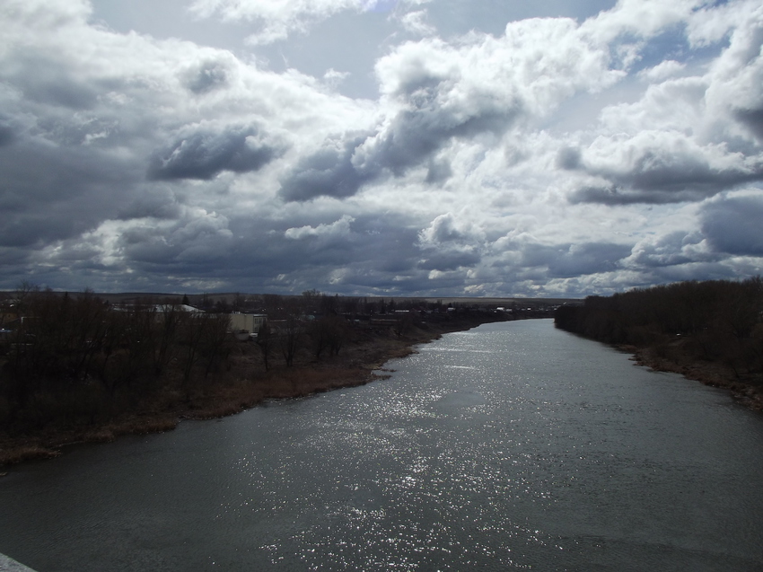 Река Быстрая Сосна