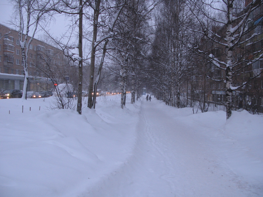 Сыктывкар 2015 - ул. Пушкина