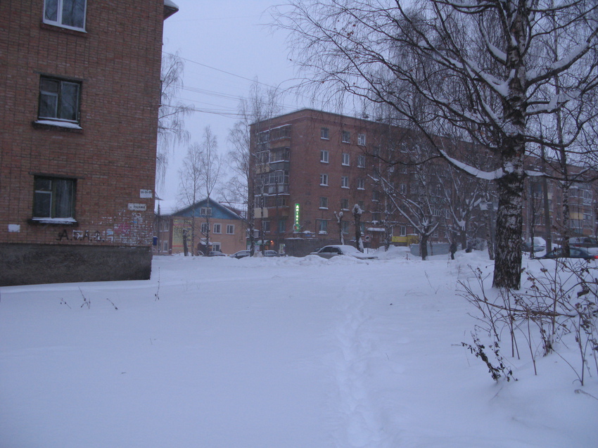 Сыктывкар 2015 - ул Пушкина