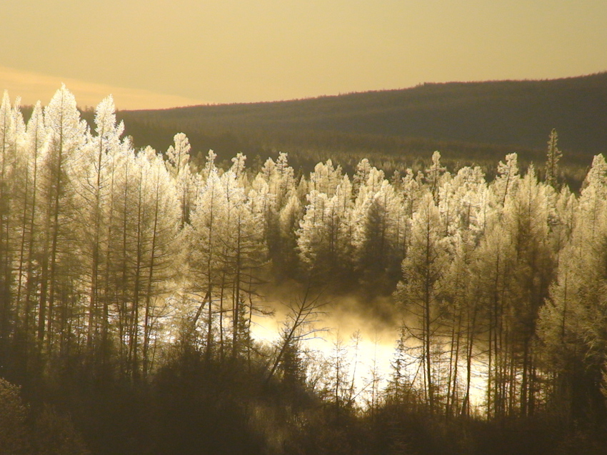 Холодное утро