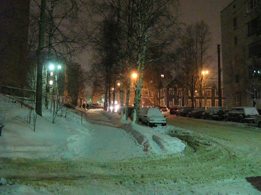 Сыктывкар 2014 - ул. Ленина