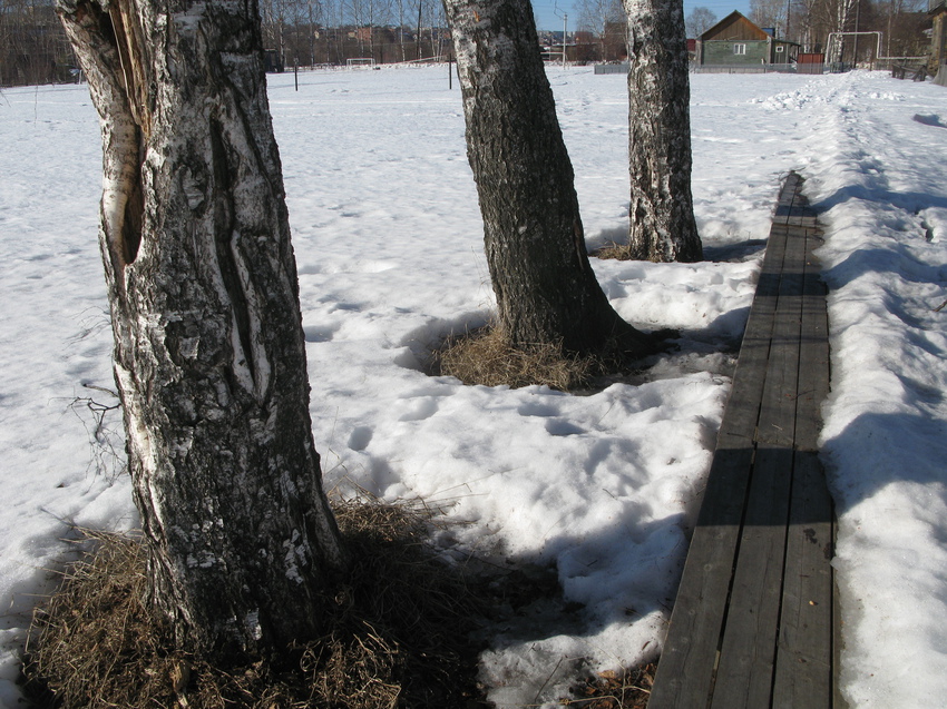 Сыктывкар 2015 Заречье