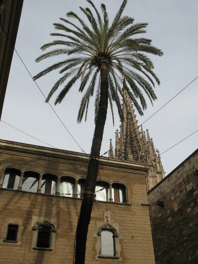 Barcelona 2014
