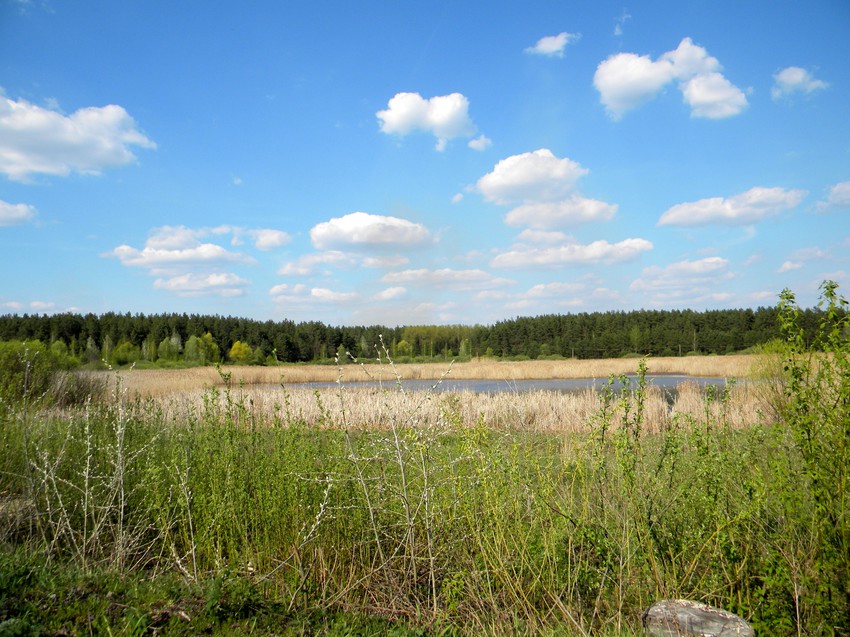 Природа села Луговка