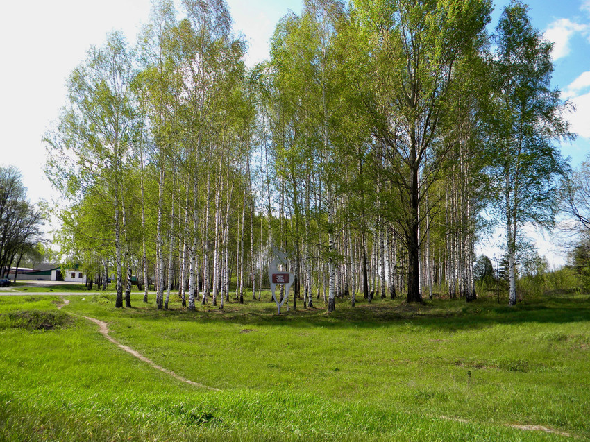 Природа села Луговка