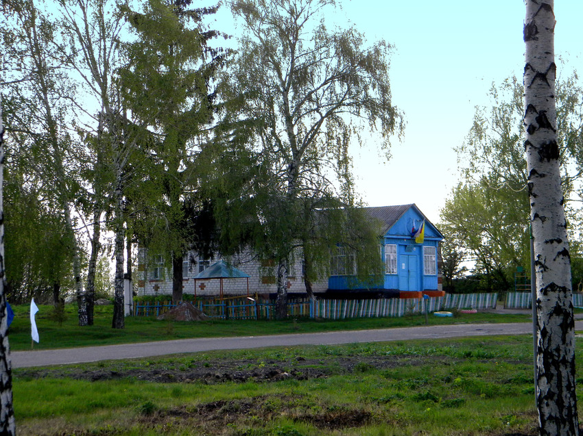 Облик села  Новостроевка-Первая
