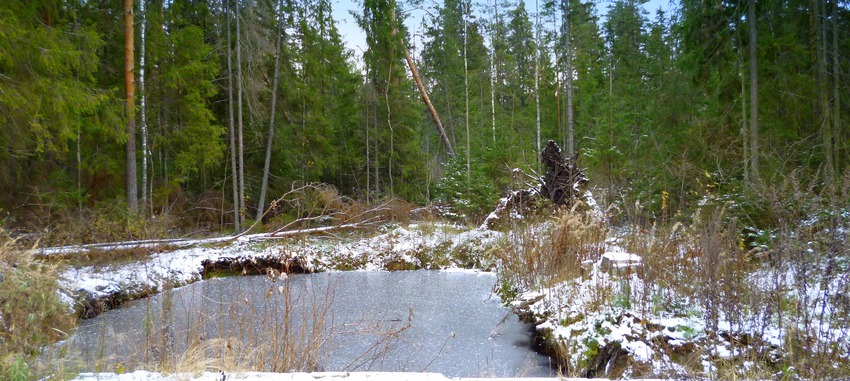 Пожарный водоём