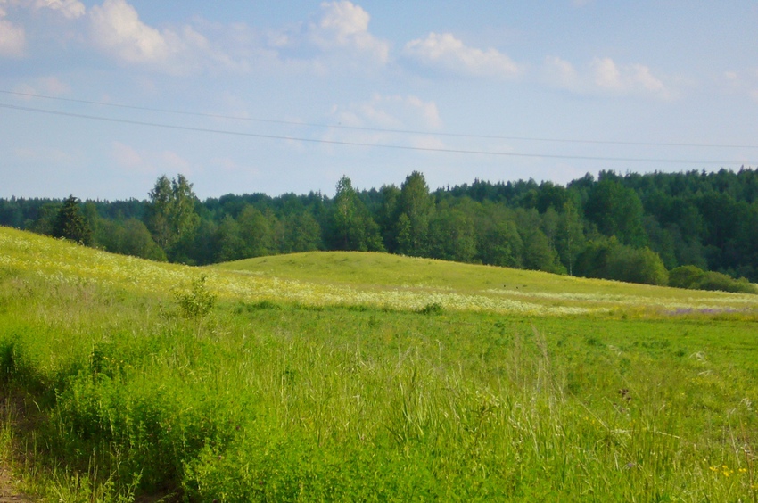 Романовские