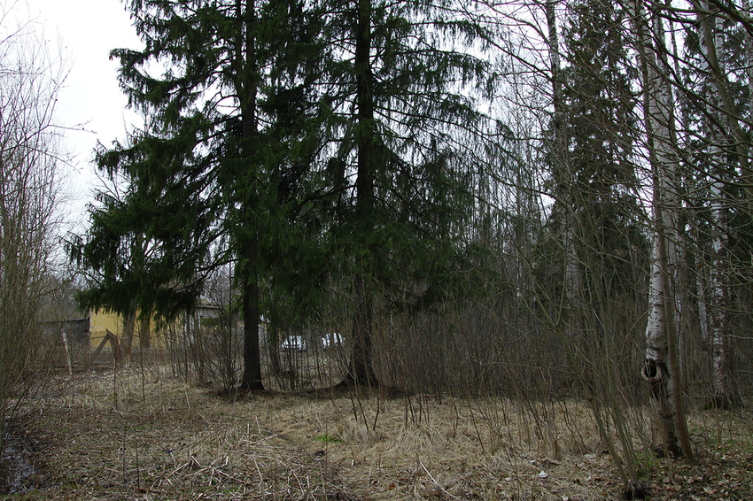 Фермский парк