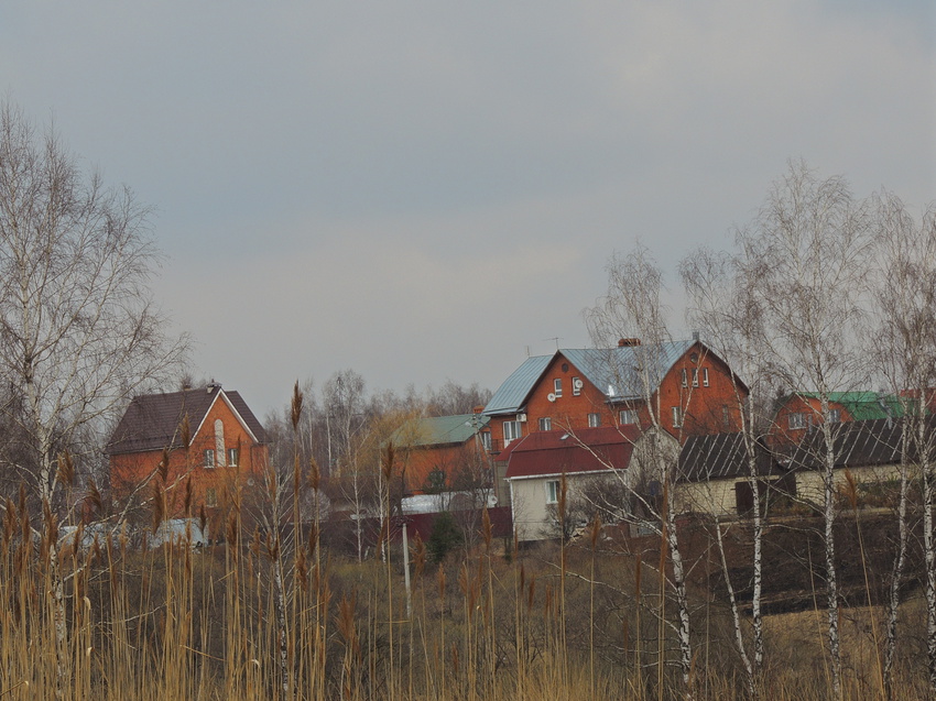 Погода в растуново