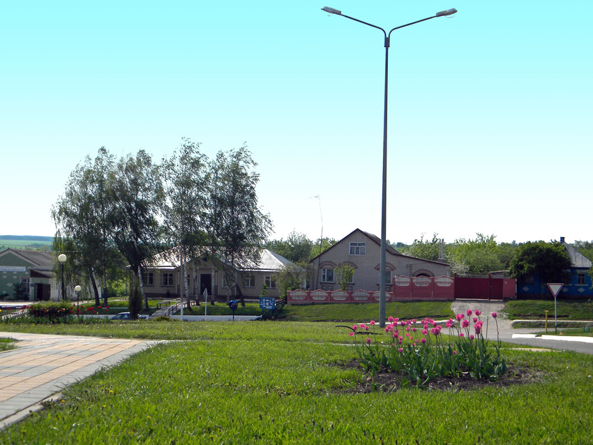 Облик села  Вязовое