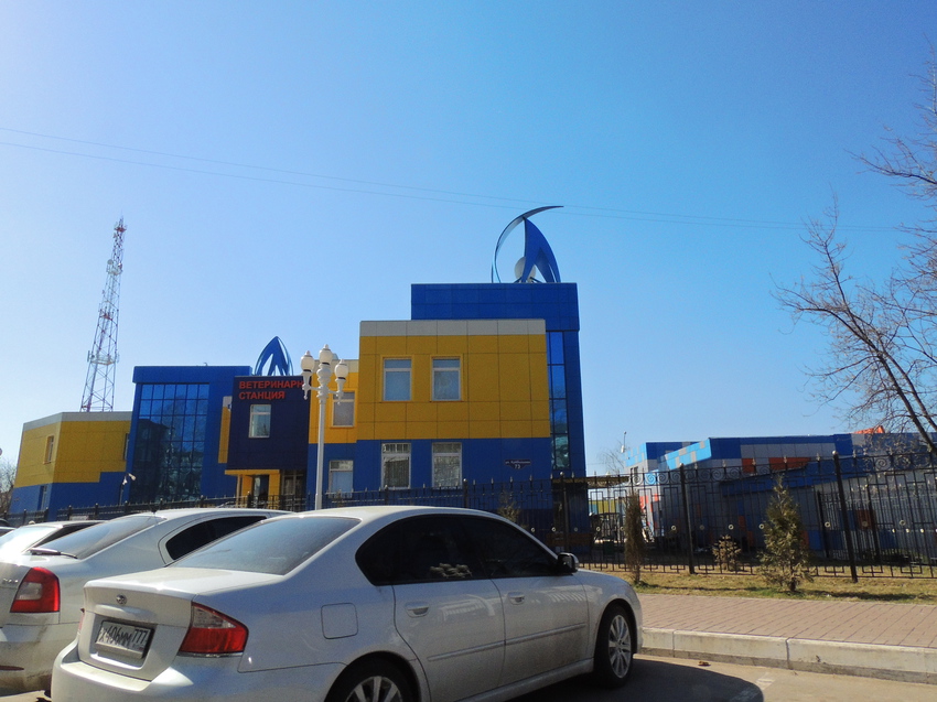 Улица Куйбышева, ветеренарная станция