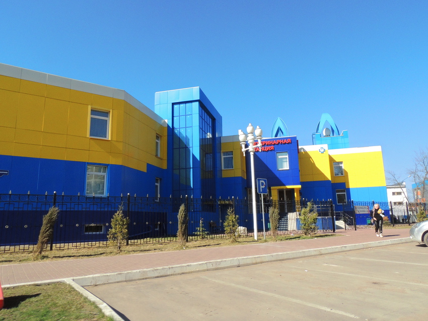 Улица Куйбышева, ветеренарная станция