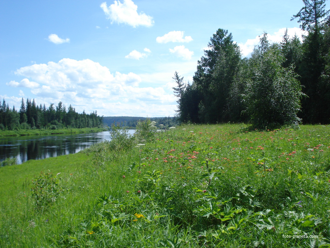 какя красота