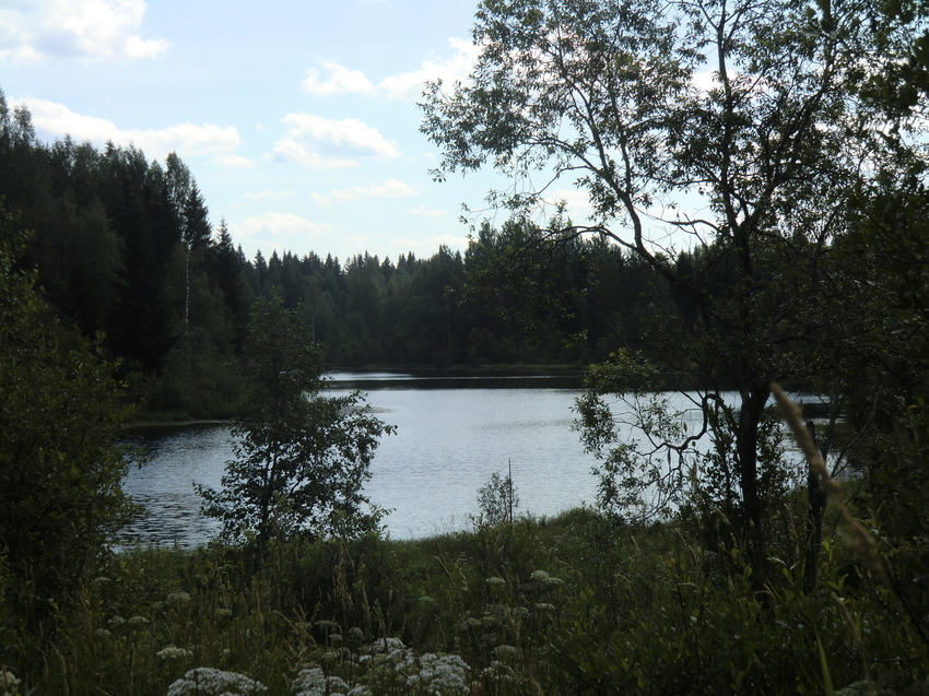 Озёра у Внуто. Июль 2012.