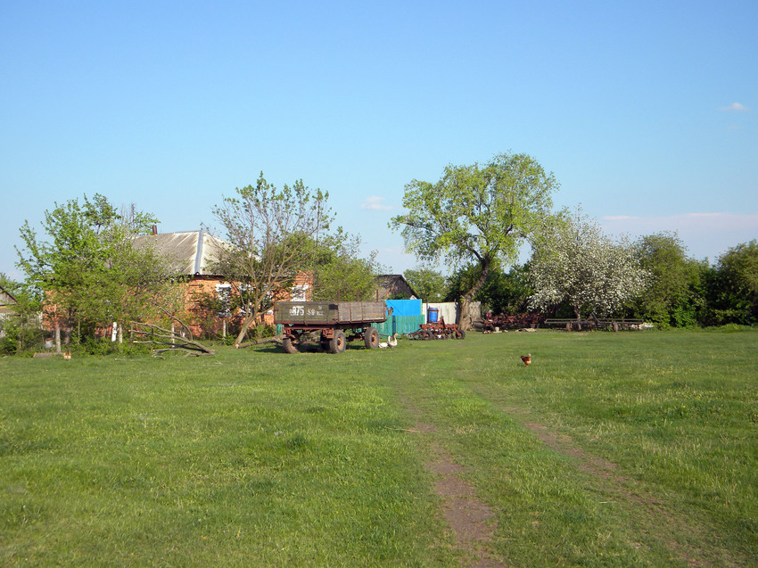 Облик села Демидовка