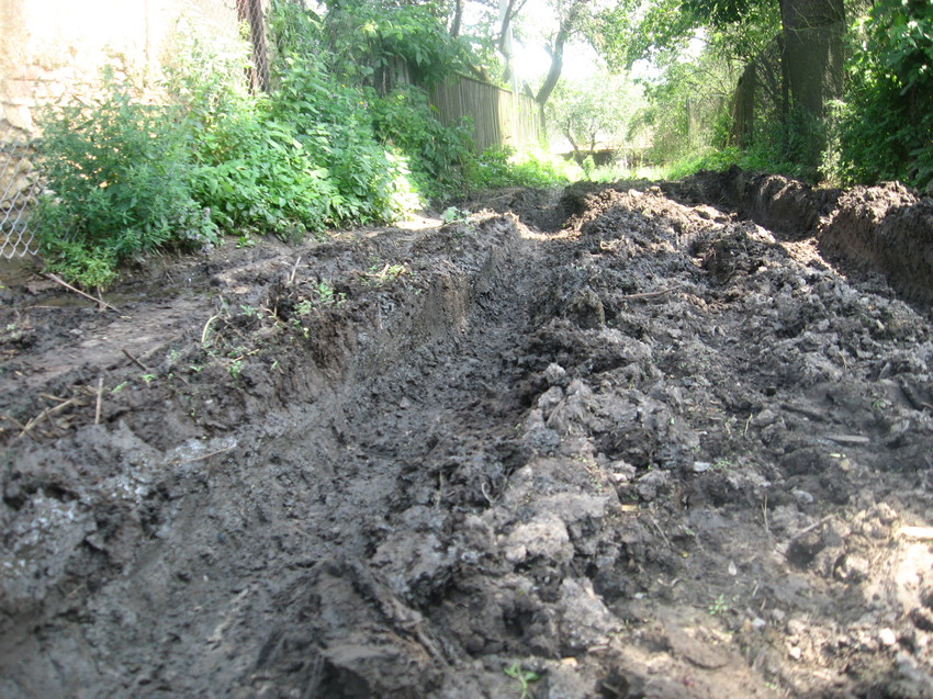 Малий Розгадів. Літо
