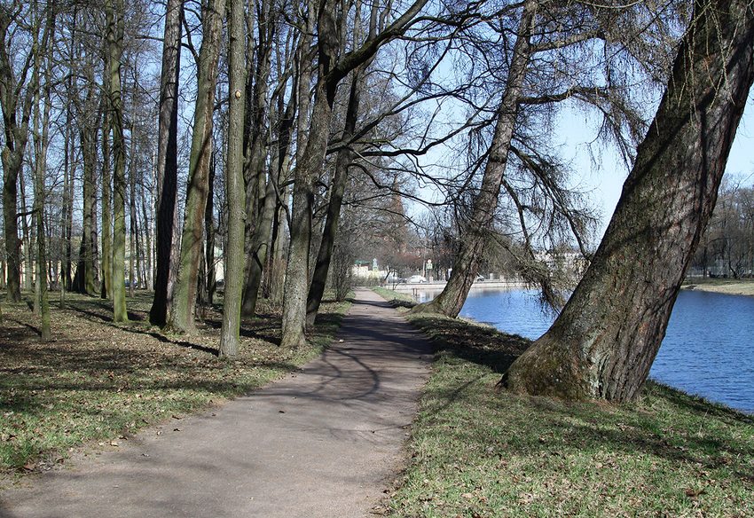 Дорожка в парке