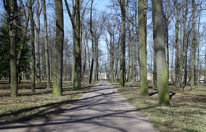 Дорожка в парке